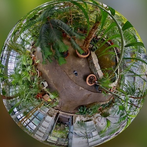 Botanical Garden of Kharkiv National University named after VN Karazin