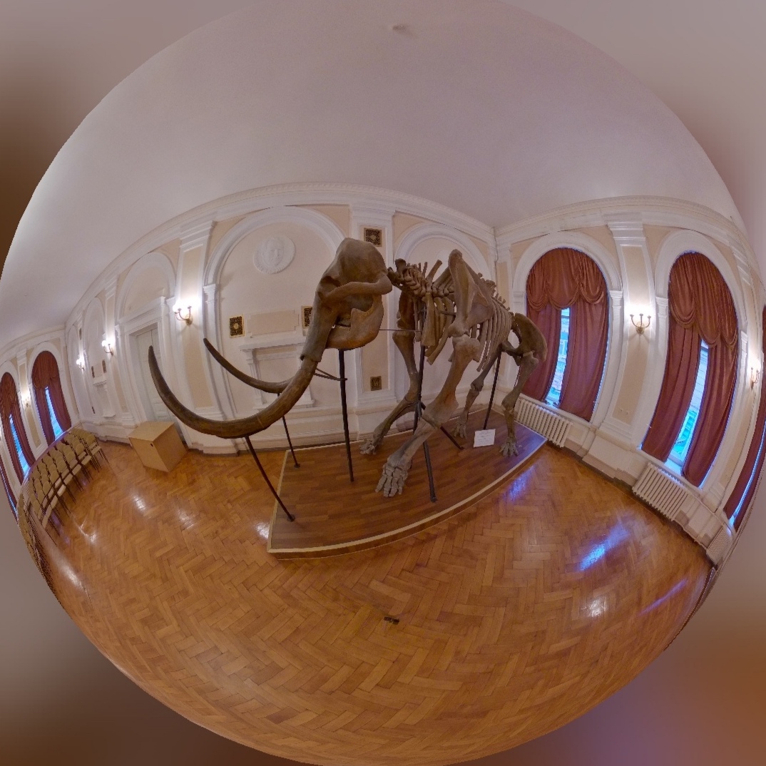 State Museum of Nature of Kharkiv National University named after VN Karazin