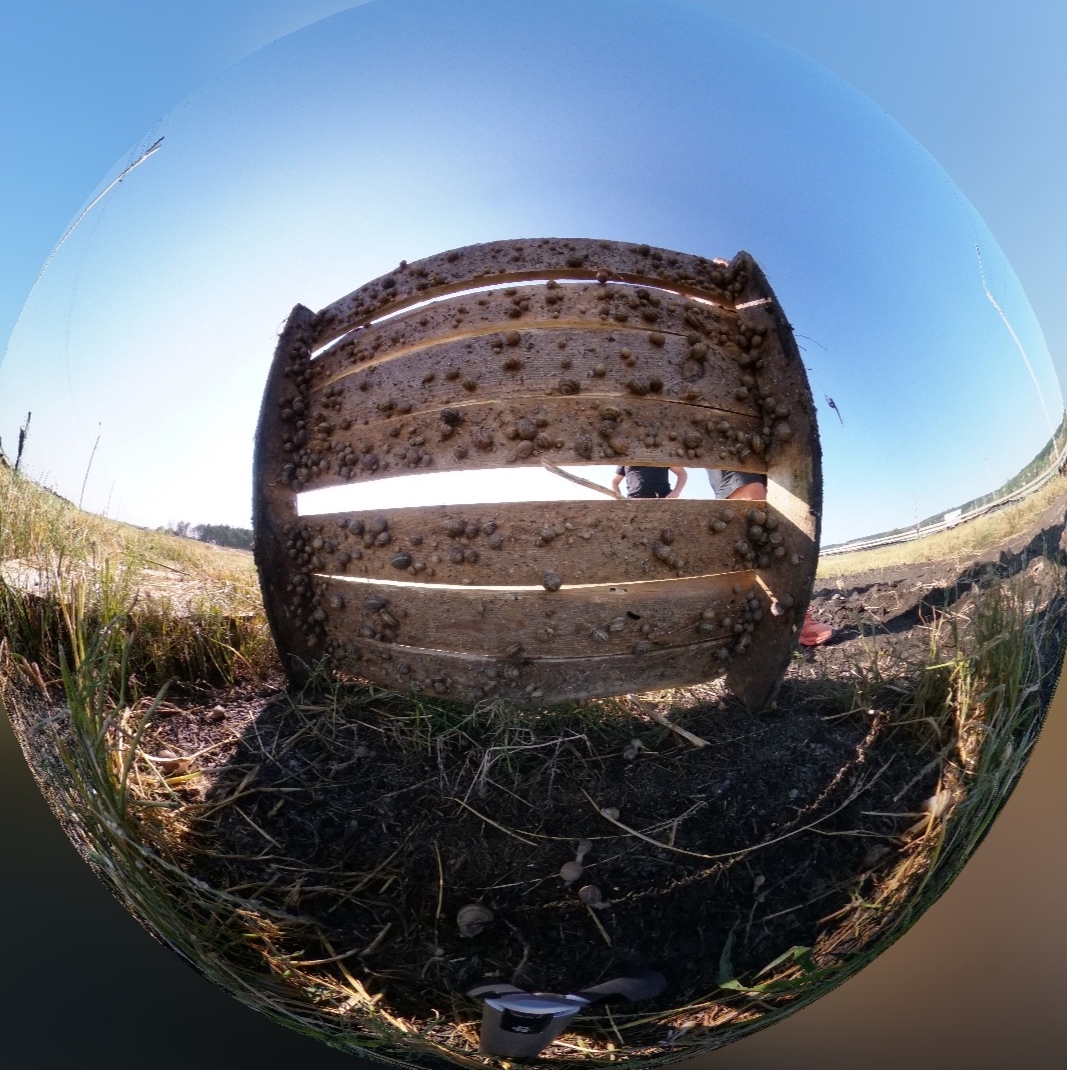 Farm Snails House